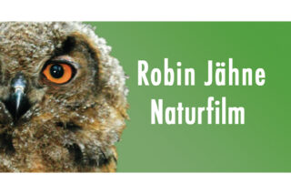 www.robinjaehne.de